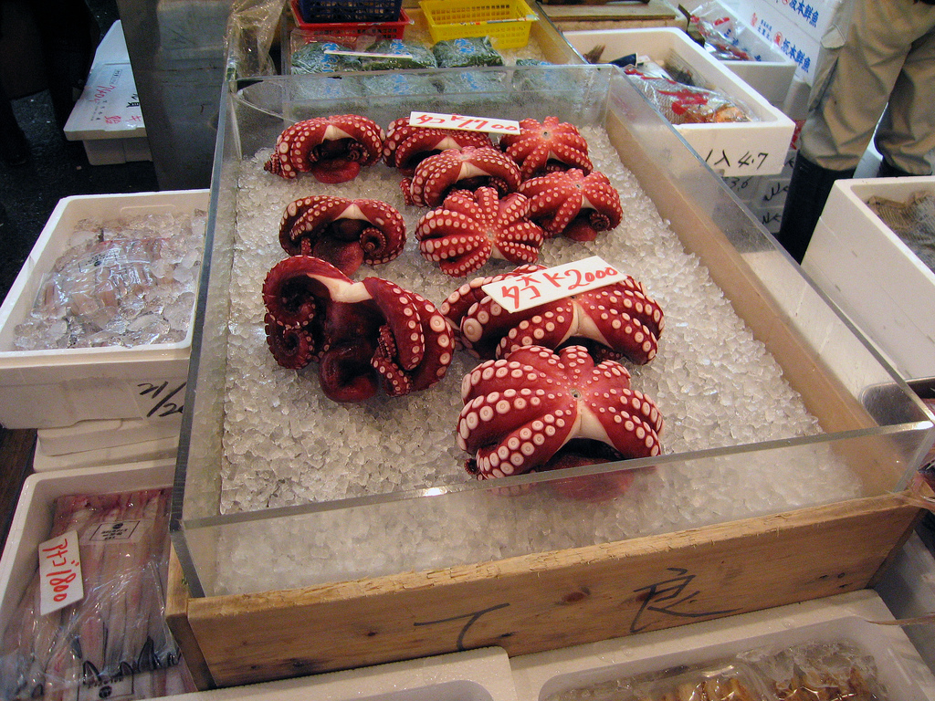 Tokyo’s Tsukiji Fish Market Octopus