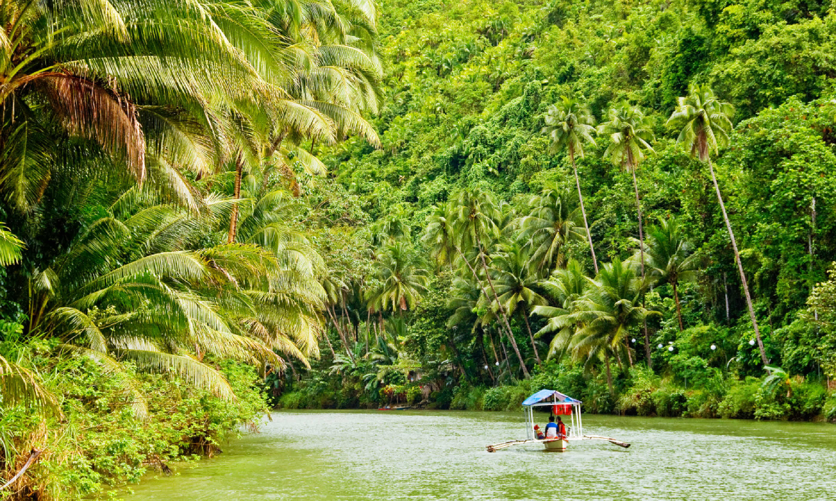 Amazonian riverboat (Shutterstock)