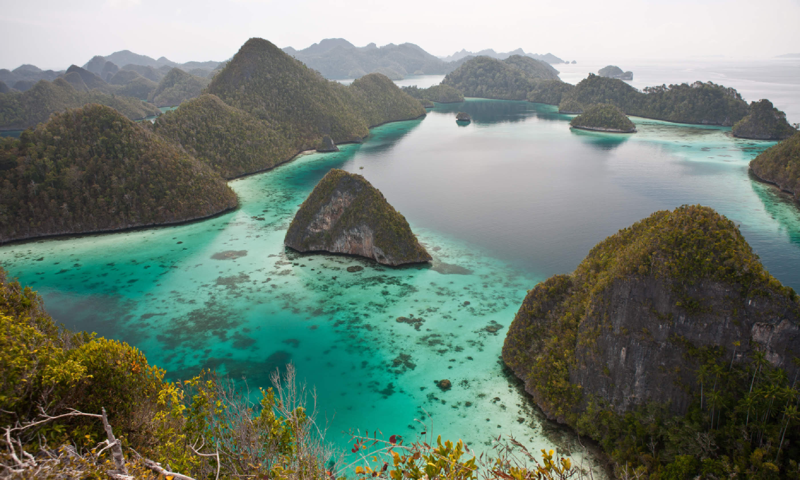 Limestone islands in Raja Ampat, Indonesia (Shutterstock)