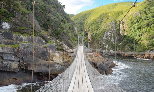 Walking bridge South Africa (Shutterstock.com)