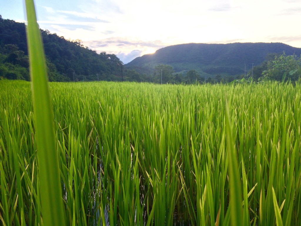 Laos Travel Tip Udomxay North Laos