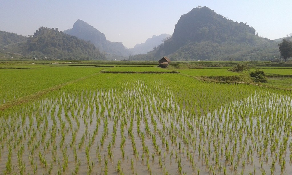 Motorbike Tour in Laos 