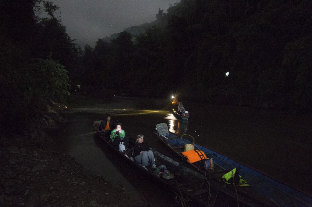 Evening at Laos Night Safari