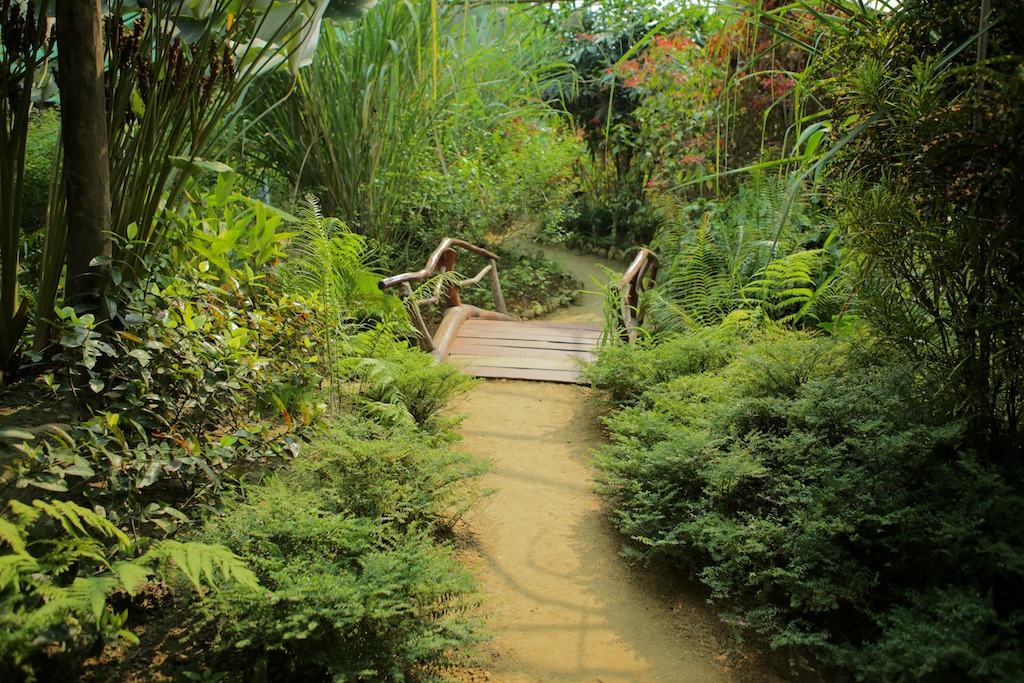 Laos-Luang-Prabang-Kuang-Si-Waterfall-Butterfly-Park-Tiger-Trail-Photo-By-Kyle-Wagner-CEB_7472