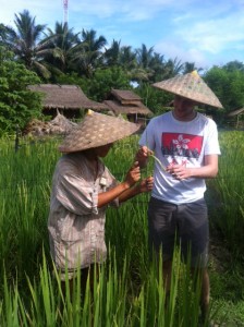 Laos Luang Prabang Living Land Farm Rice is Life