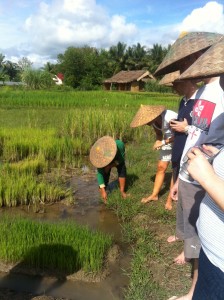 Laos Luang Prabang Living Land Farm Rice is Life