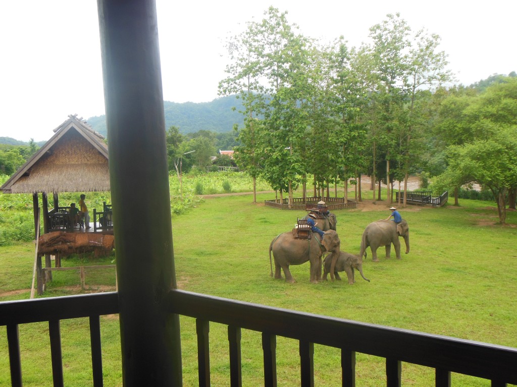 laos-tiger-trail-nam-ou-elephant-farm-1358