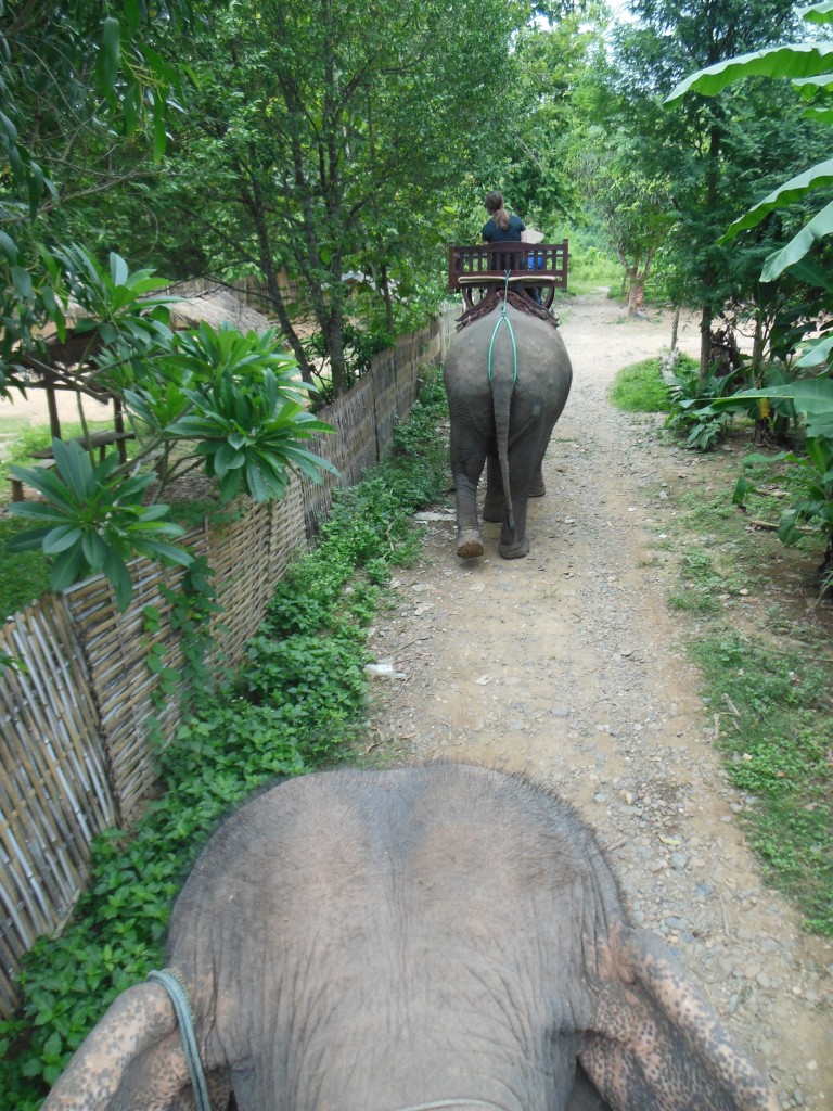 laos-tiger-trail-nam-ou-elephant-farm-1378