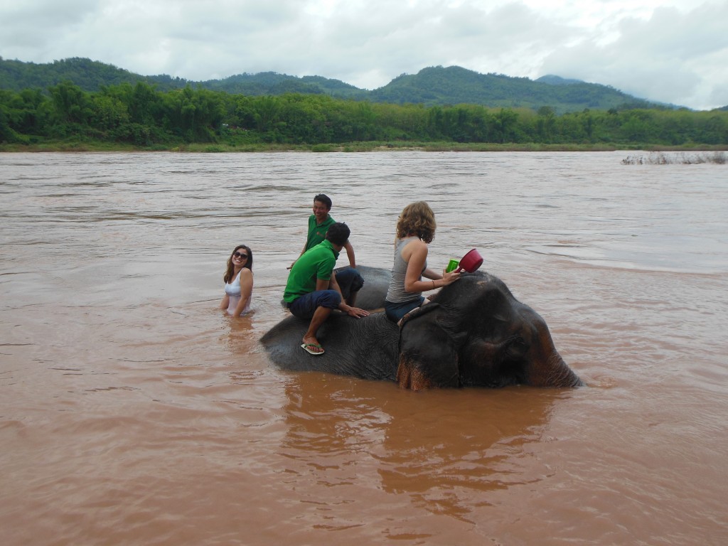 laos-tiger-trail-nam-ou-elephant-farm-1391