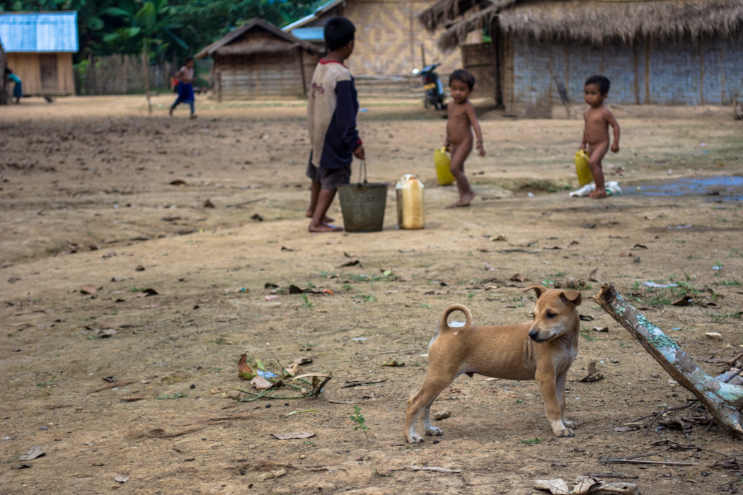 Kids at village homestay with Tiger Trail Luang Prabang Laos