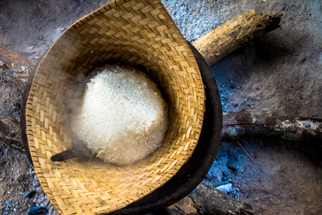 Sticky rice village homestay with Tiger Trail Luang Prabang Laos