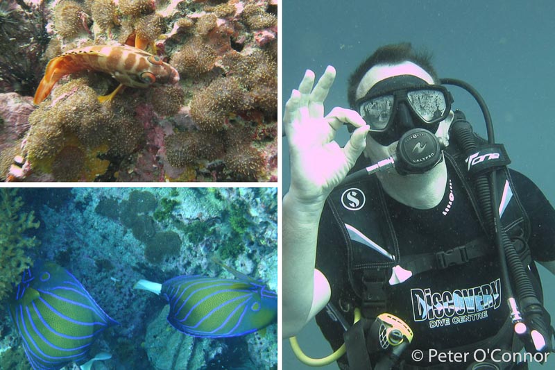 Diving at Sail Rock, Thailand