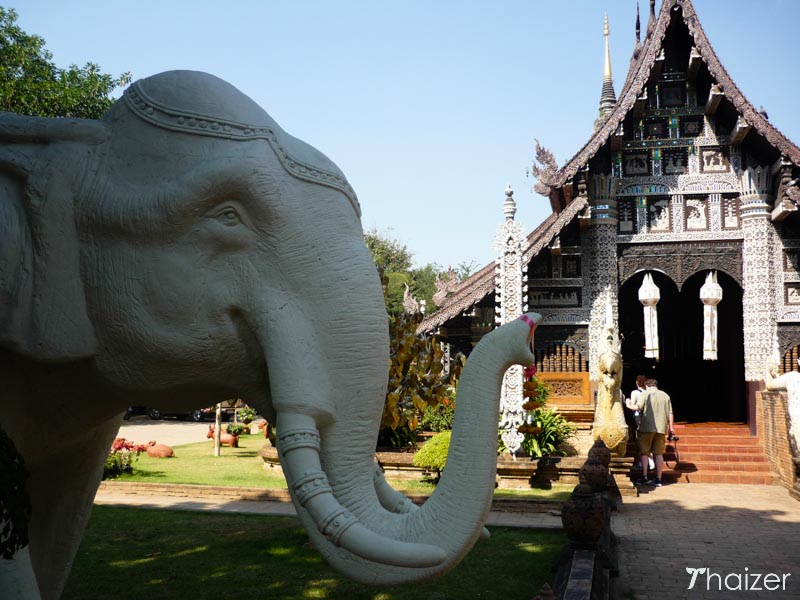 elephant at a temple in Thailand