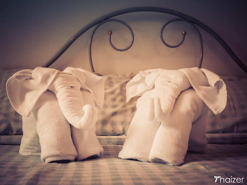 towel elephants