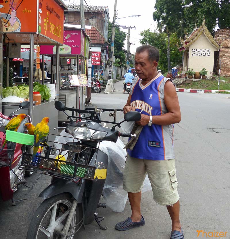 The Chiang Mai birdman with his feathered friends