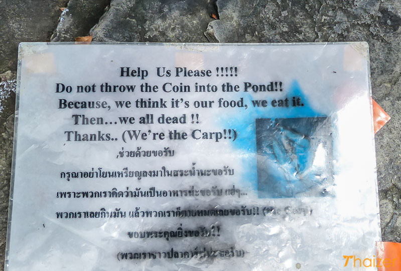 A message from the fish at Wat Po