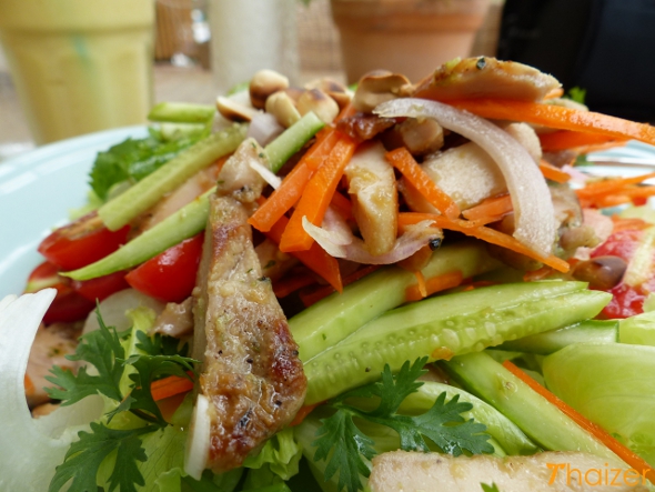 Thai yum gai salad