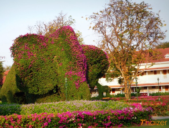 2ElephantTopiaryHuaHin