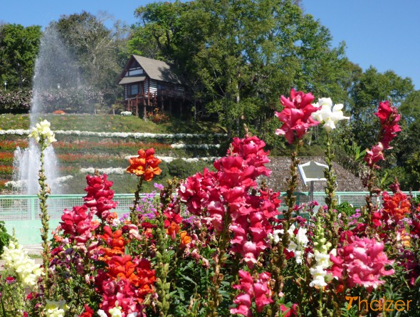 Floral display in front of the lake and royal log cabin, Bhuping Palace, Chiang Mai