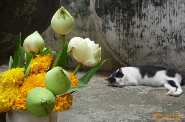 Floral offerings at Wat Si Chum, Sukhothai