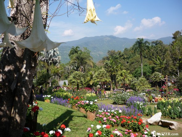 Flower gardens at Mae Fah Luang in Chiang Rai province