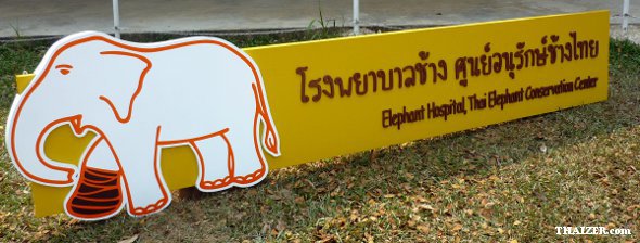 ThaiElephantConservationCentre4