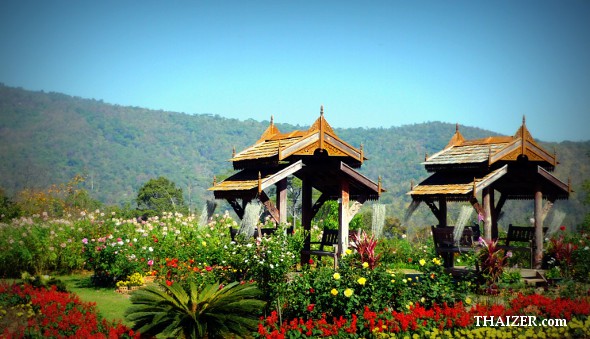 Two traditional salas at Queen Sirikit Botanical Garden, Chiang Mai