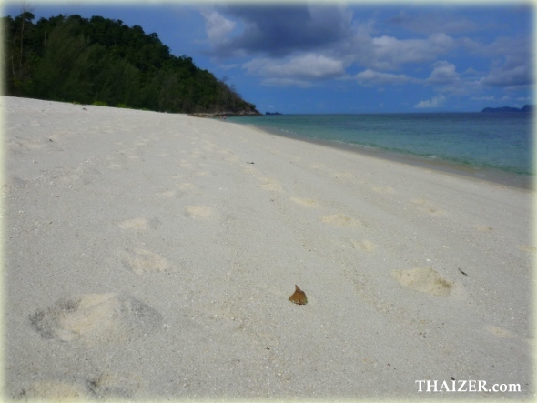 white sandy beach at Ko Adang