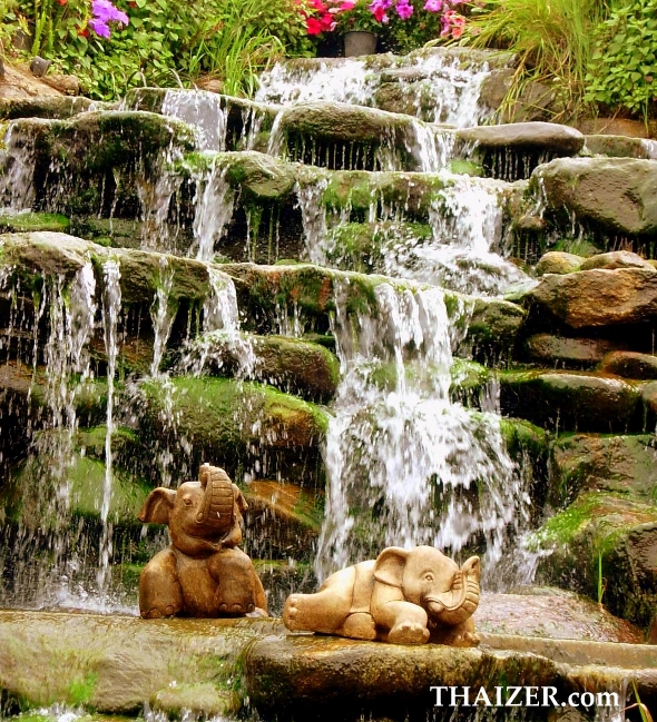 elephants in waterfall at Doi Inthanon, Chiang Mai, Thailand