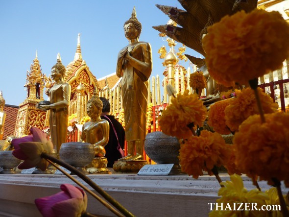 Flowers at Wat Phra That Doi Suthep, Chiang Mai