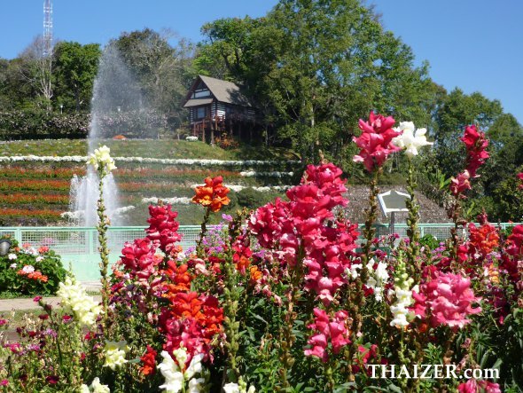 Gardens at Bhuping Palace, Chiang Mai