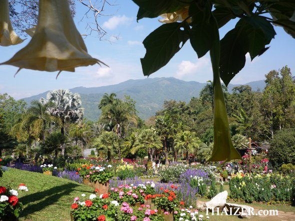 Mae Fah Luang garden, Doi Tung, Chiang Rai