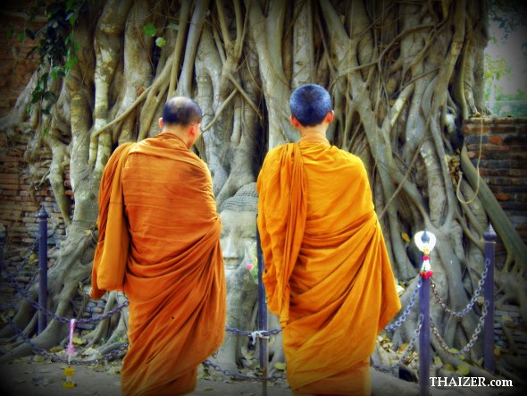 Two Thai monks survey the Buddha head in tree roots at Wat Mahathat, Ayutthaya