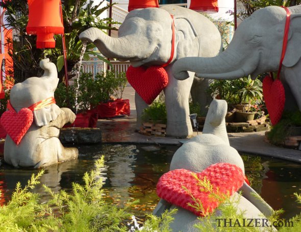 Valentine's Day elephants, Chiang Mai, Thailand