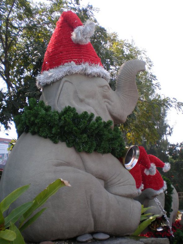 Thailand Christmas elephant