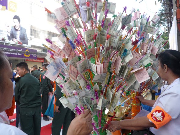 Thai money tree to make merit