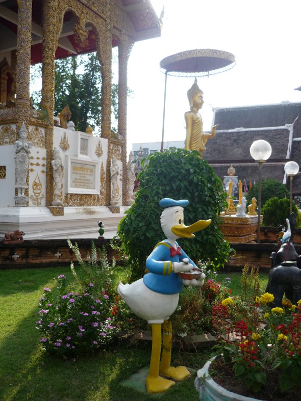 Donald Duck at Wat Bupparam, Thapae Road, Chiang Mai