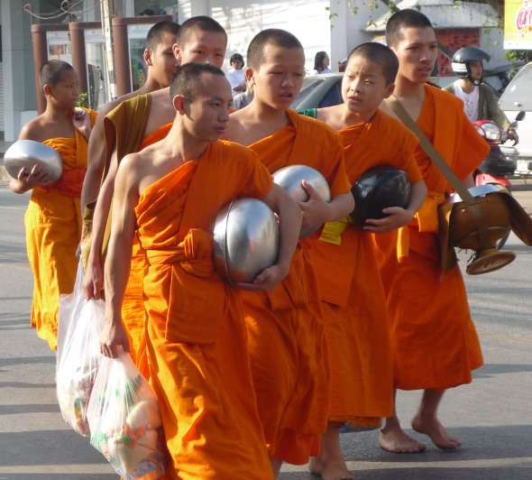 young monks on their way back from the alms giving ceremony in Chiang Mai