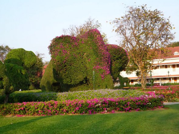 Giant elephant in topiary gardens at Sofitel Hotel (former Railway Hotel), Hua Hin