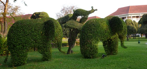 elephants in topiary garden at Sofitel Hotel, Hua Hin