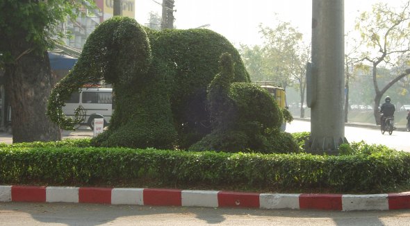 topiary elephants on traffic island in Chiang Mai