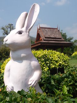 Year of the Rabbit (Chinese New Year celebrated in Thailand)