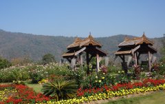 queen-sirikit-botanical-gardens-chiang-mai