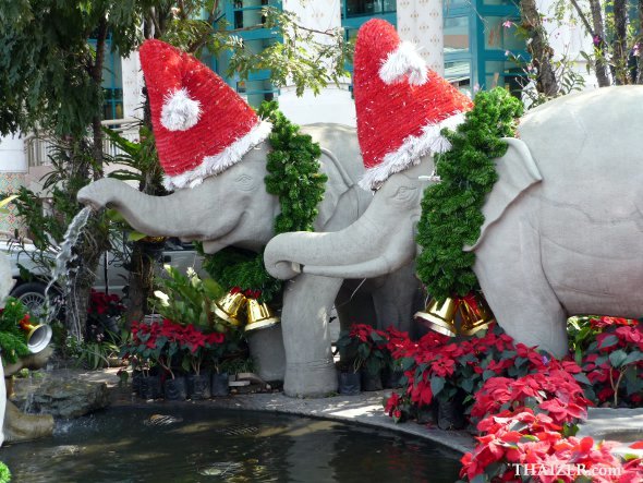 Christmas elephants in Thailand