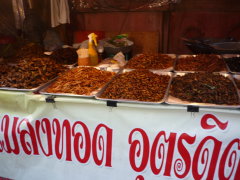 bugs for sale in Thailand