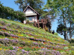 Log cabin at Bhuping Palace