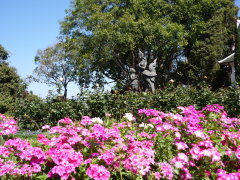 Bhuping Palace gardens