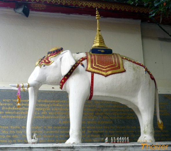 The legend of the white elephant of Doi Suthep