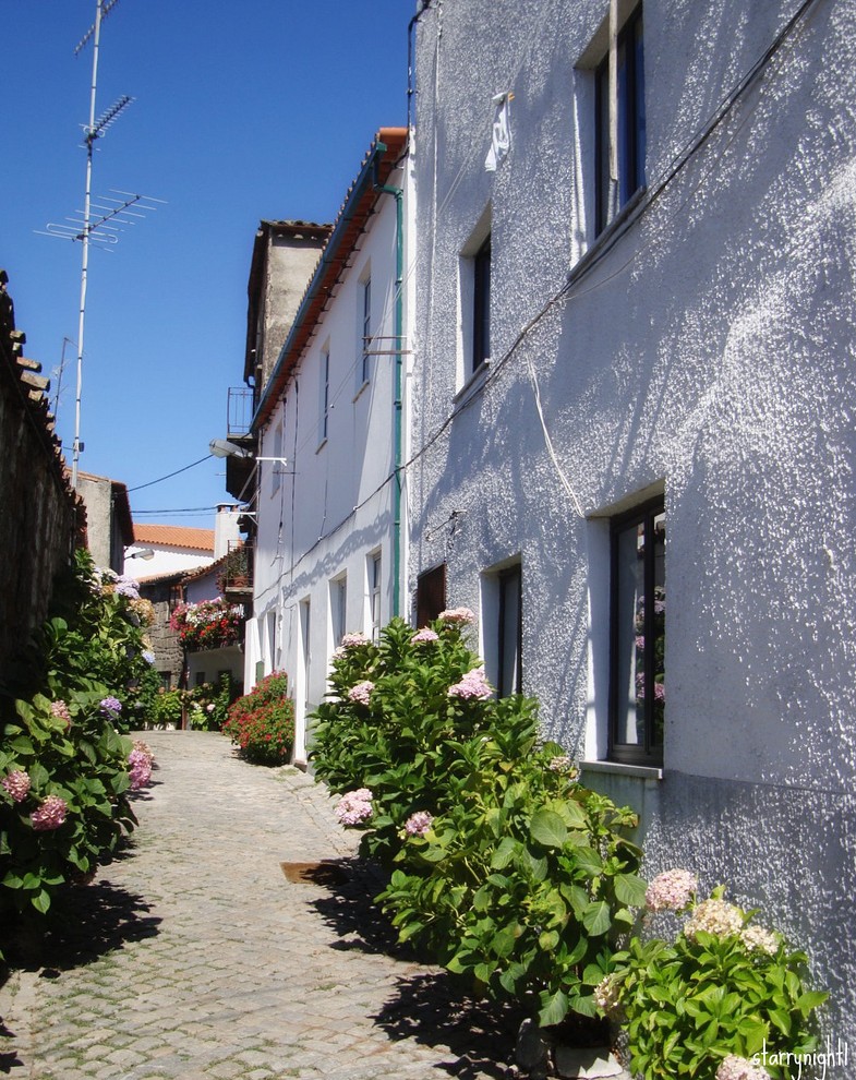 Jewish Portugal history community heritage