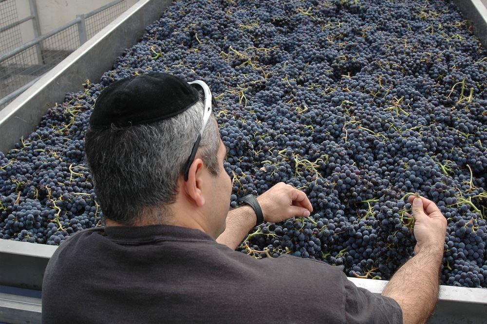 bodegas wineries Spain Spanish kosher visit tour tasting